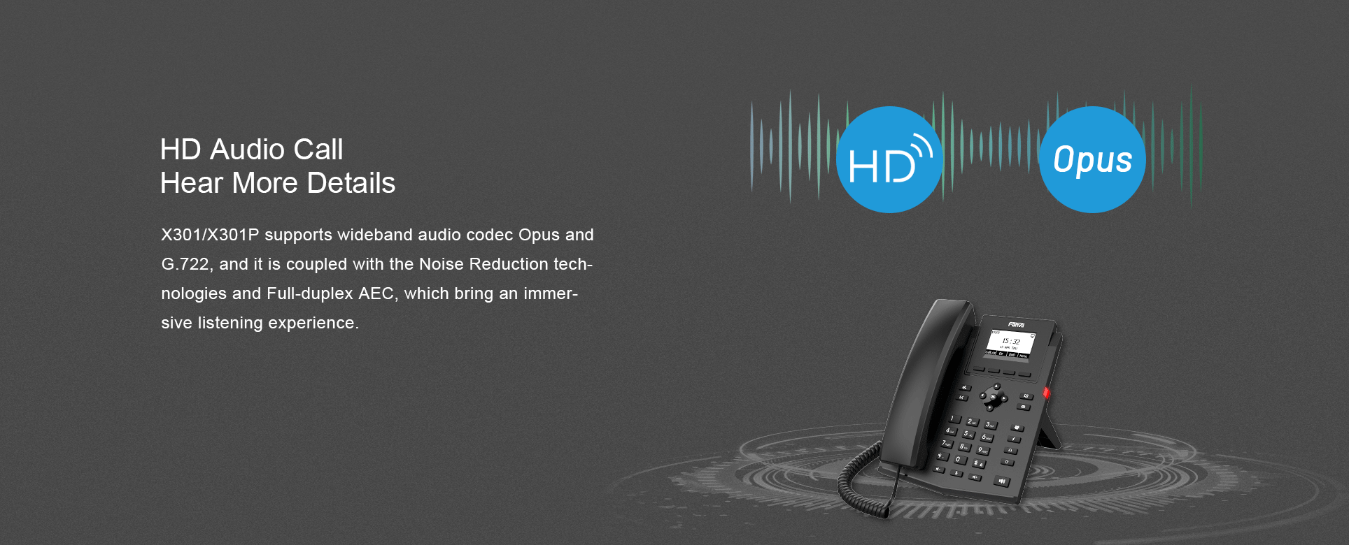 Fanvil_X301P_IP_Phone_web2